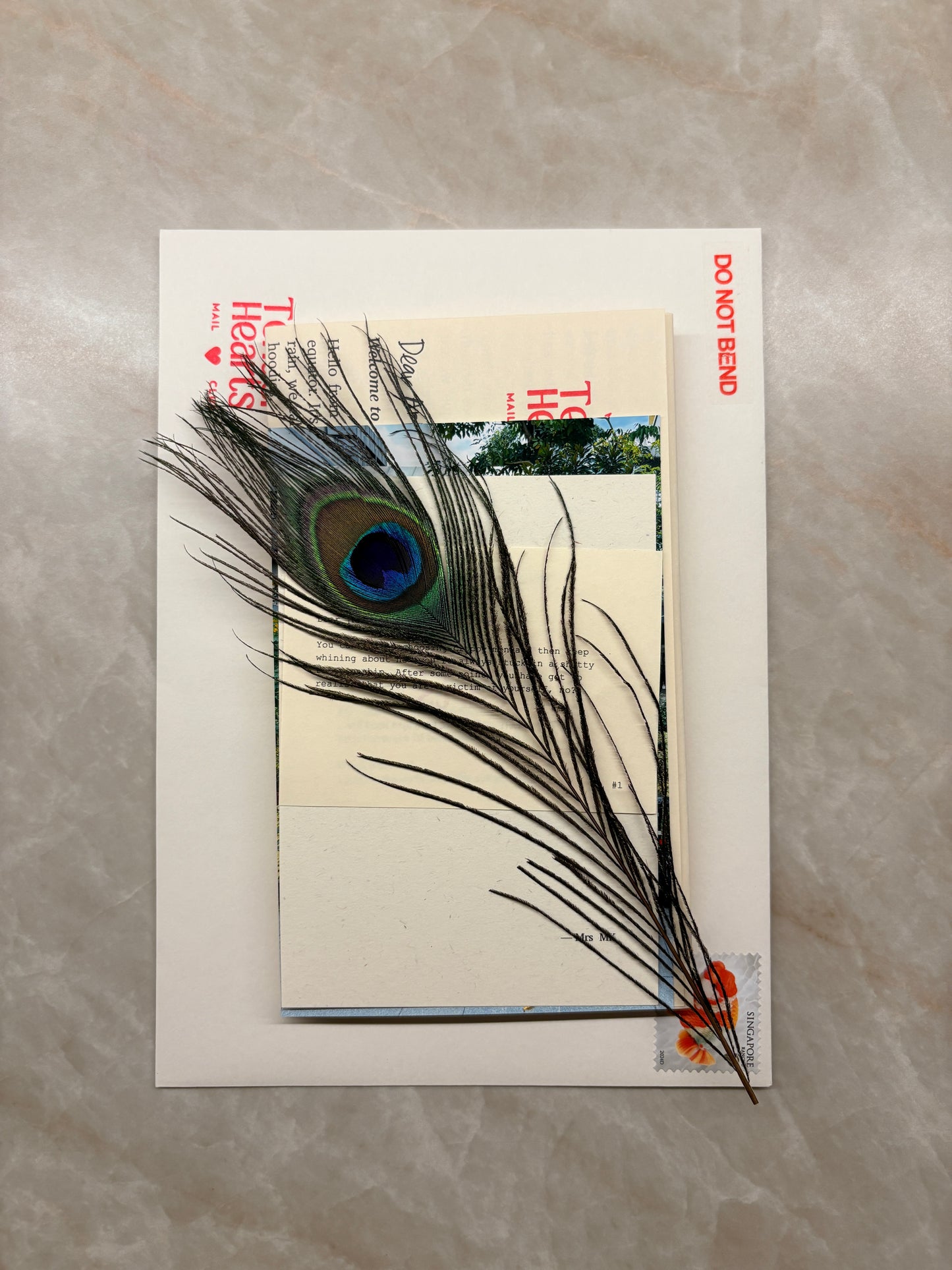 Tender Hearts Mail Club (Subscription)