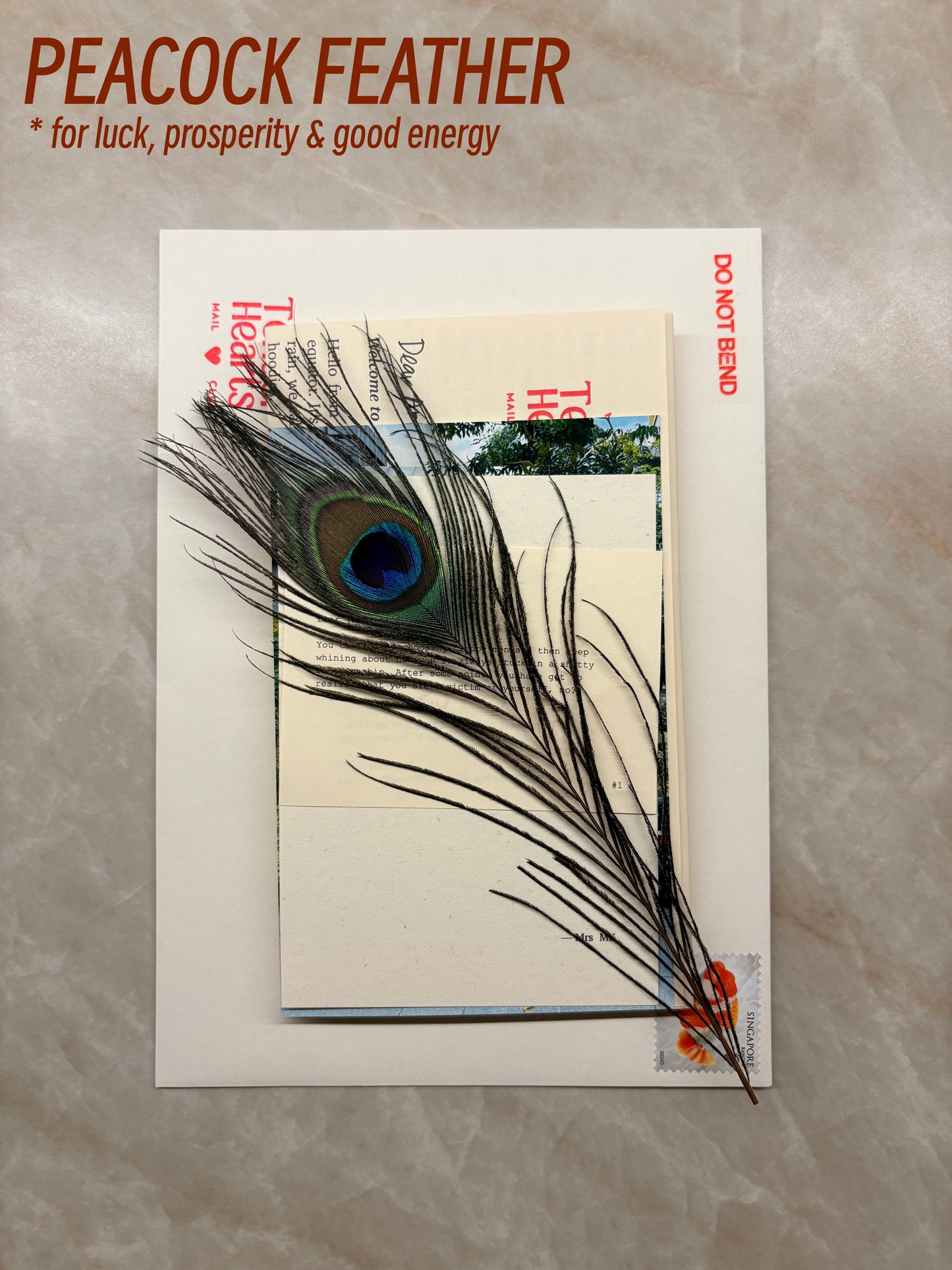 Tender Hearts Mail Club (Subscription)